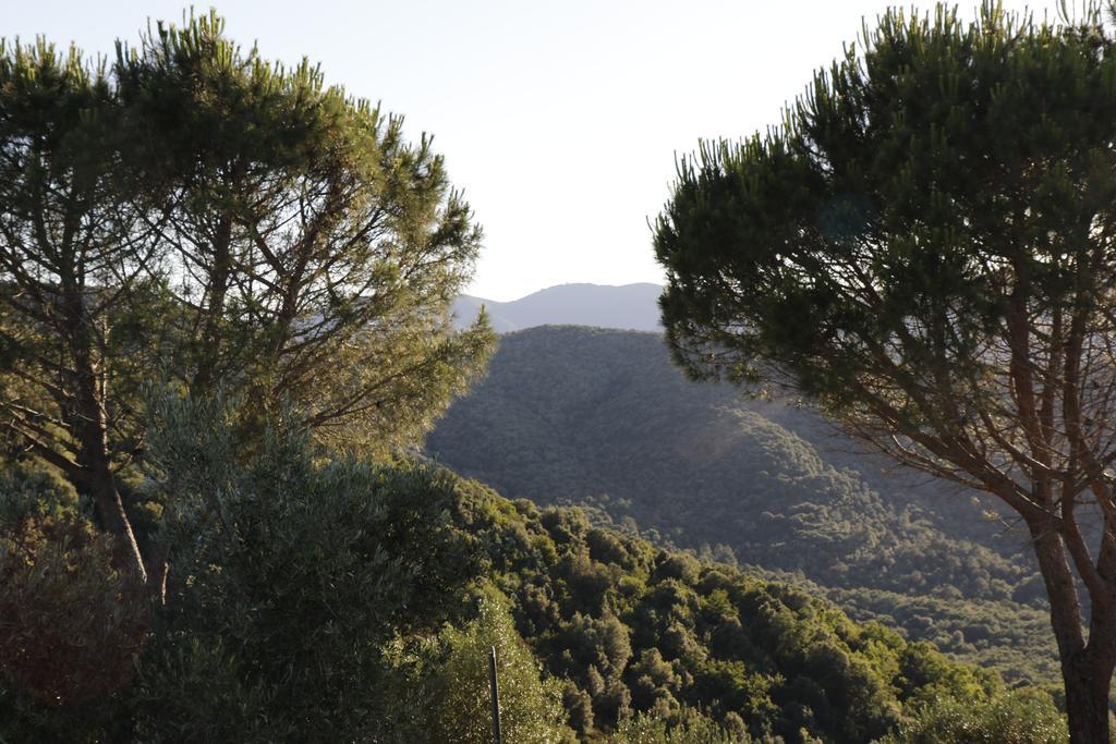 Locanda Mossa Dei Barbari Buriano  المظهر الخارجي الصورة